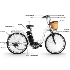 Sharper Image NAKTO Camel Electric Bike
