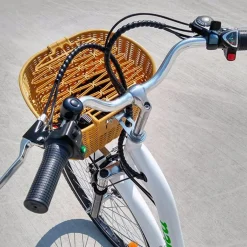 Sharper Image NAKTO Camel Electric Bike