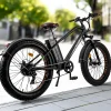 Trek Power Inc NAKTO Cruiser 2 Electric Bike