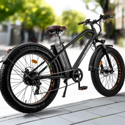 Trek Power Inc NAKTO Cruiser 2 Electric Bike