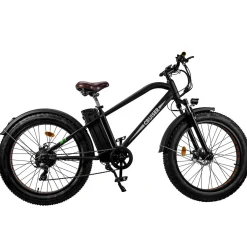 Trek Power Inc NAKTO Cruiser 2 Electric Bike