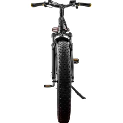 Trek Power Inc NAKTO Cruiser 2 Electric Bike
