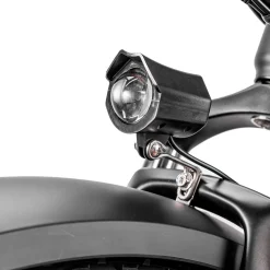 Trek Power Inc NAKTO Cruiser 2 Electric Bike