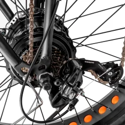 Trek Power Inc NAKTO Cruiser 2 Electric Bike