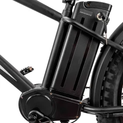 Trek Power Inc NAKTO Cruiser 2 Electric Bike