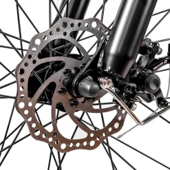 Trek Power Inc NAKTO Cruiser 2 Electric Bike
