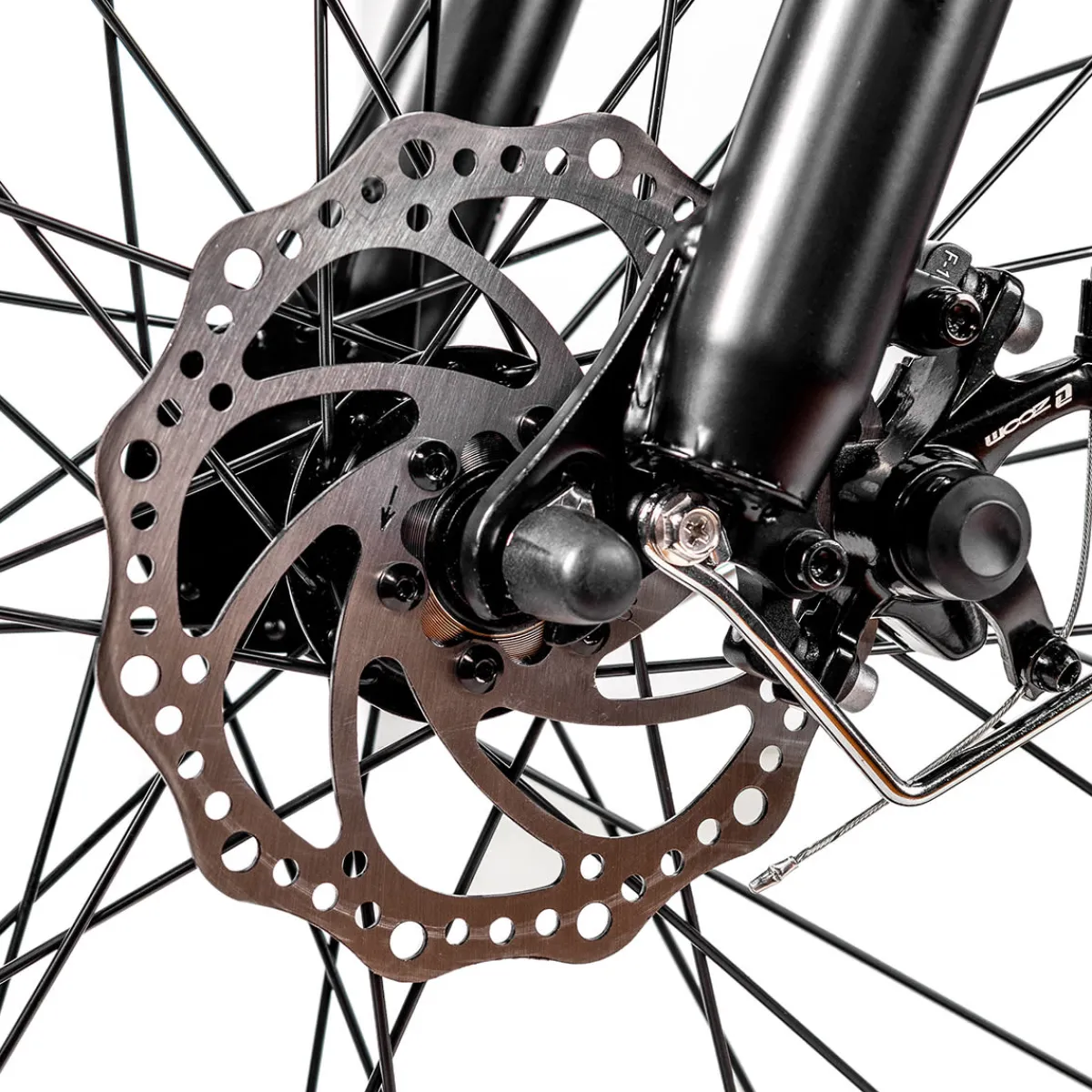 Trek Power Inc NAKTO Cruiser 2 Electric Bike