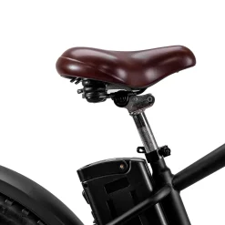 Trek Power Inc NAKTO Cruiser 2 Electric Bike