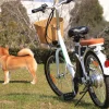 Sharper Image NAKTO Elegance Electric Bike