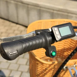 Sharper Image NAKTO Elegance Electric Bike
