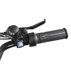 Sharper Image NAKTO Folding Electric Bike