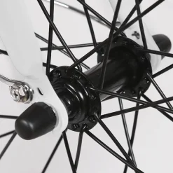 Sharper Image NAKTO Pony Electric Bike