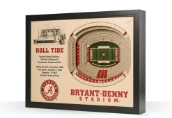 iDNA Series, LLC NCAA 3D Stadium Wall Art