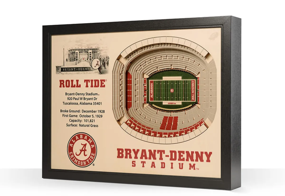 iDNA Series, LLC NCAA 3D Stadium Wall Art
