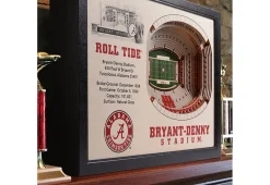 iDNA Series, LLC NCAA 3D Stadium Wall Art
