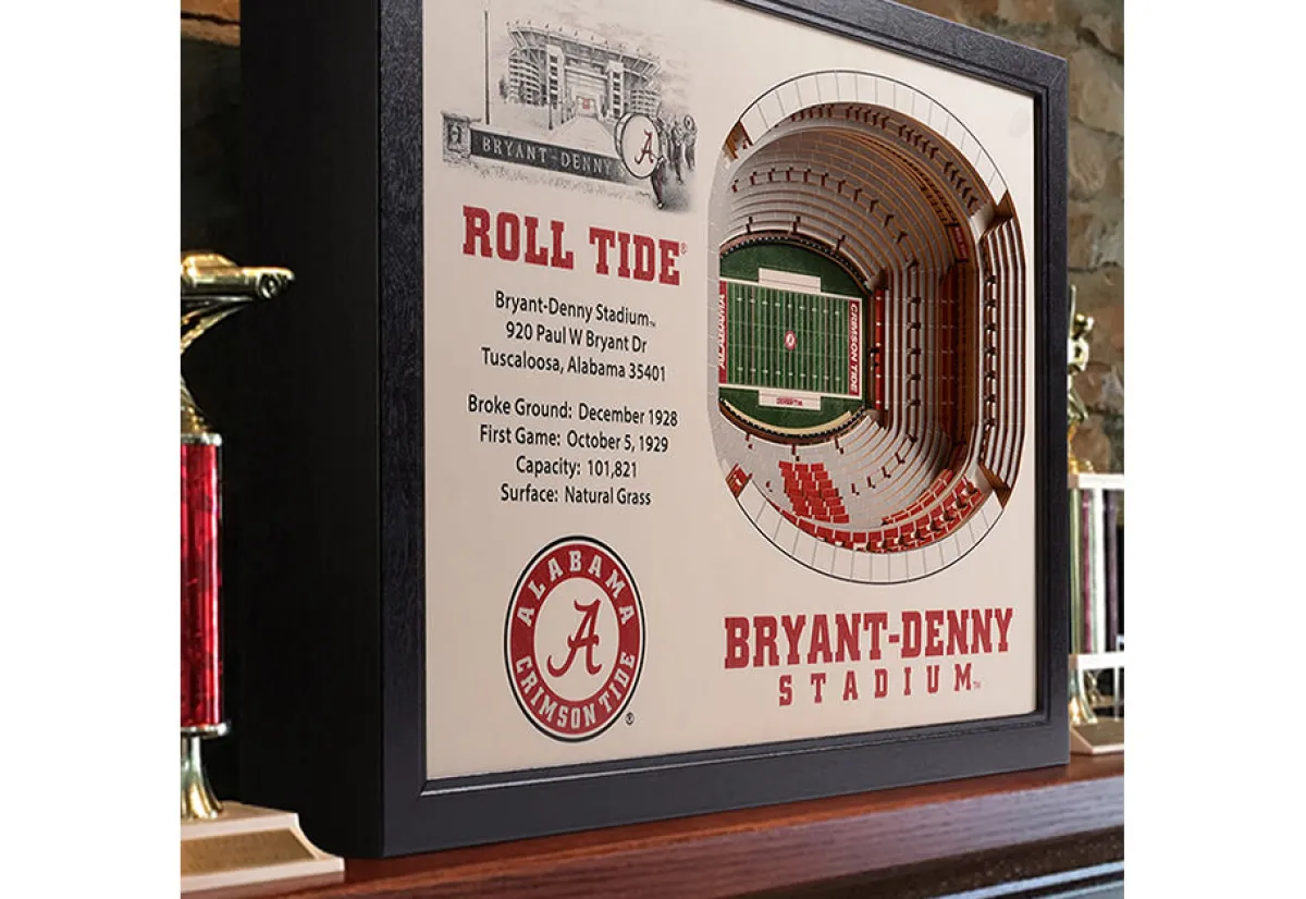 iDNA Series, LLC NCAA 3D Stadium Wall Art