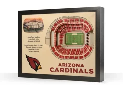 iDNA Series, LLC NFL 3D Stadium Wall Art