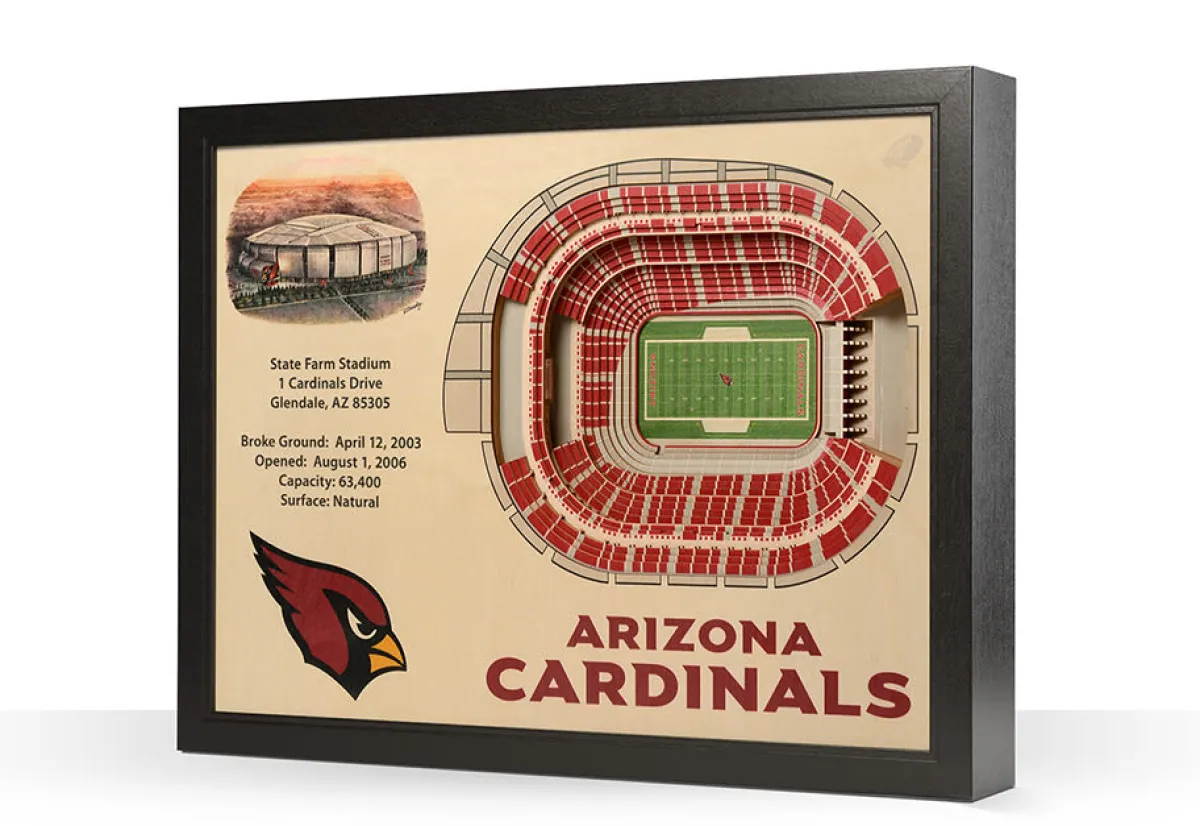 iDNA Series, LLC NFL 3D Stadium Wall Art