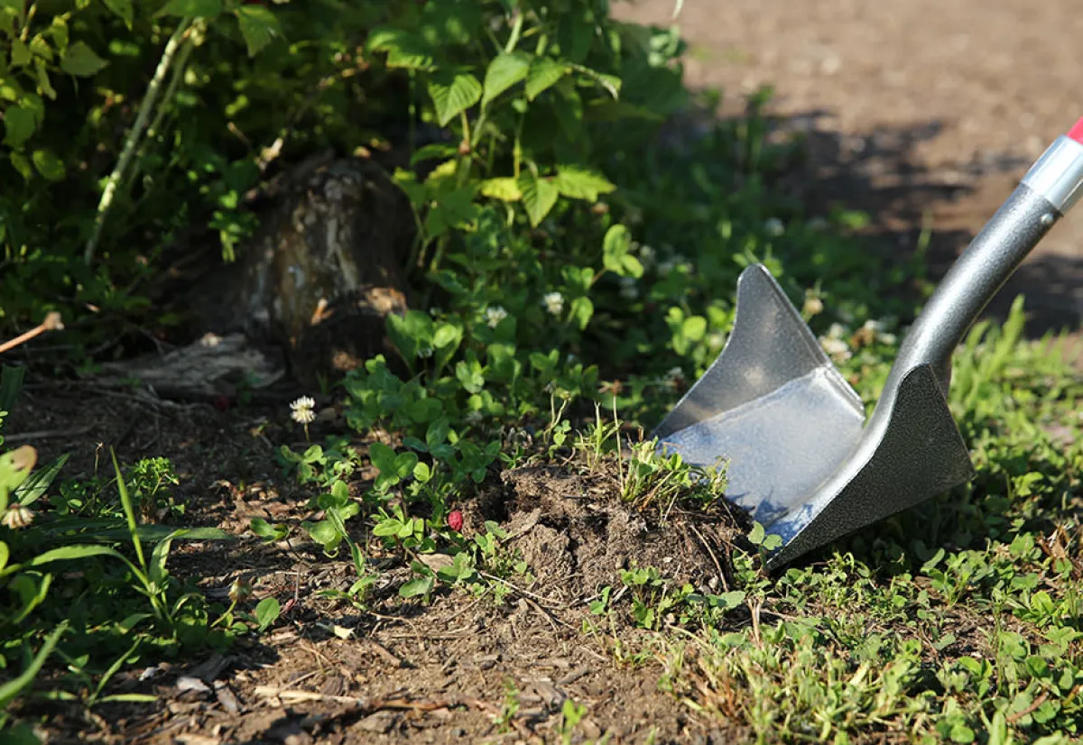 Teleshop Inc. (Beauty Ko LLC) One Shot ''Wing'' Shovel