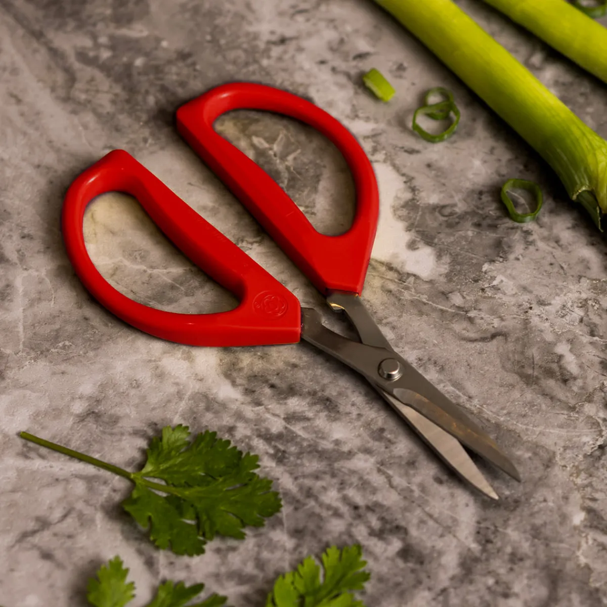 THAT! Inventions Inc (formerly Parallax Horizon, Inc) 2-Pack Kitchen Scissors