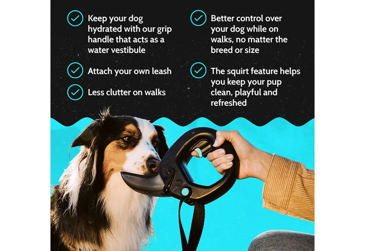Tail Chasers LLC Pet Water Bottle Leash
