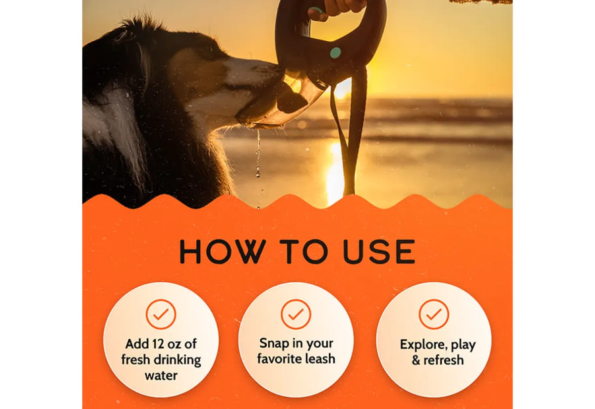 Tail Chasers LLC Pet Water Bottle Leash