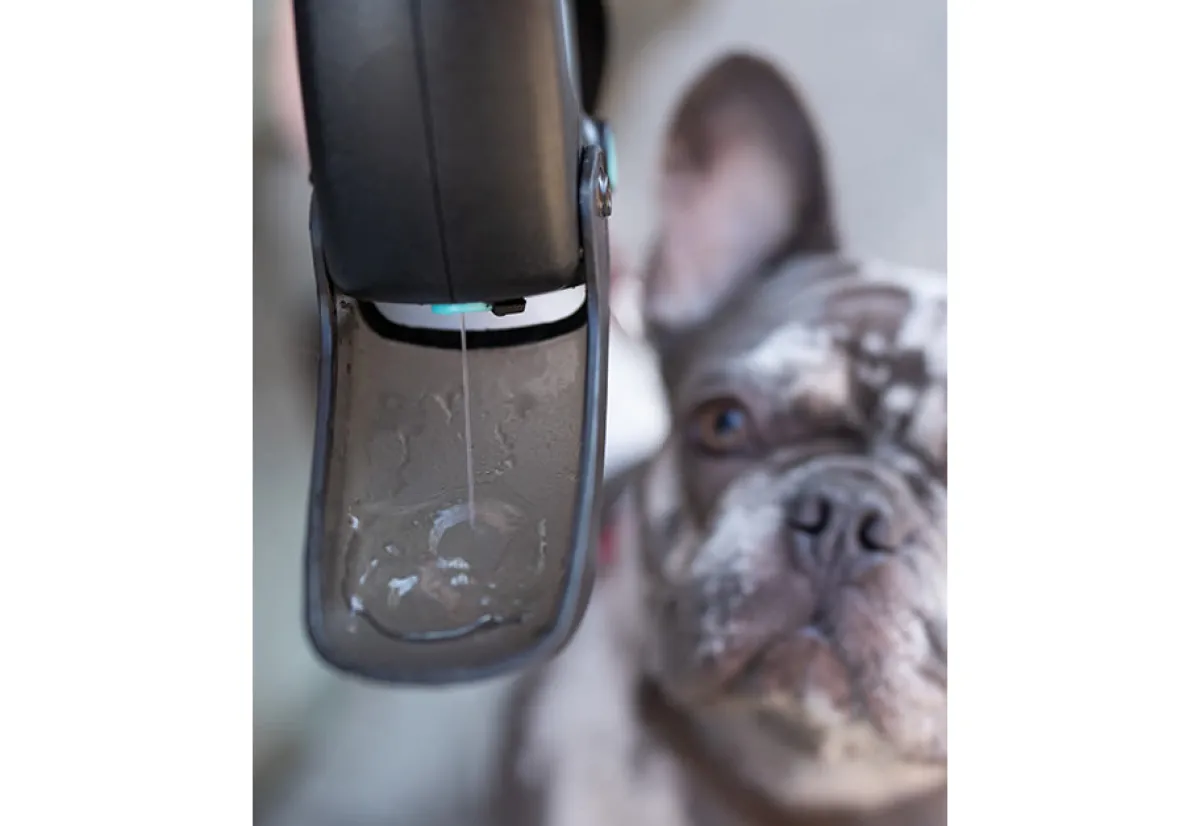Tail Chasers LLC Pet Water Bottle Leash