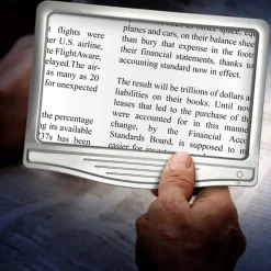 Daylight 24, Inc Portable Lighted Magnifier