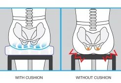 U.S. JACLEAN, INC Posture Improving Contoured Comfort Cushion