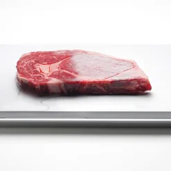 The Future Products, Inc. Premium Innovative Defrosting Tray
