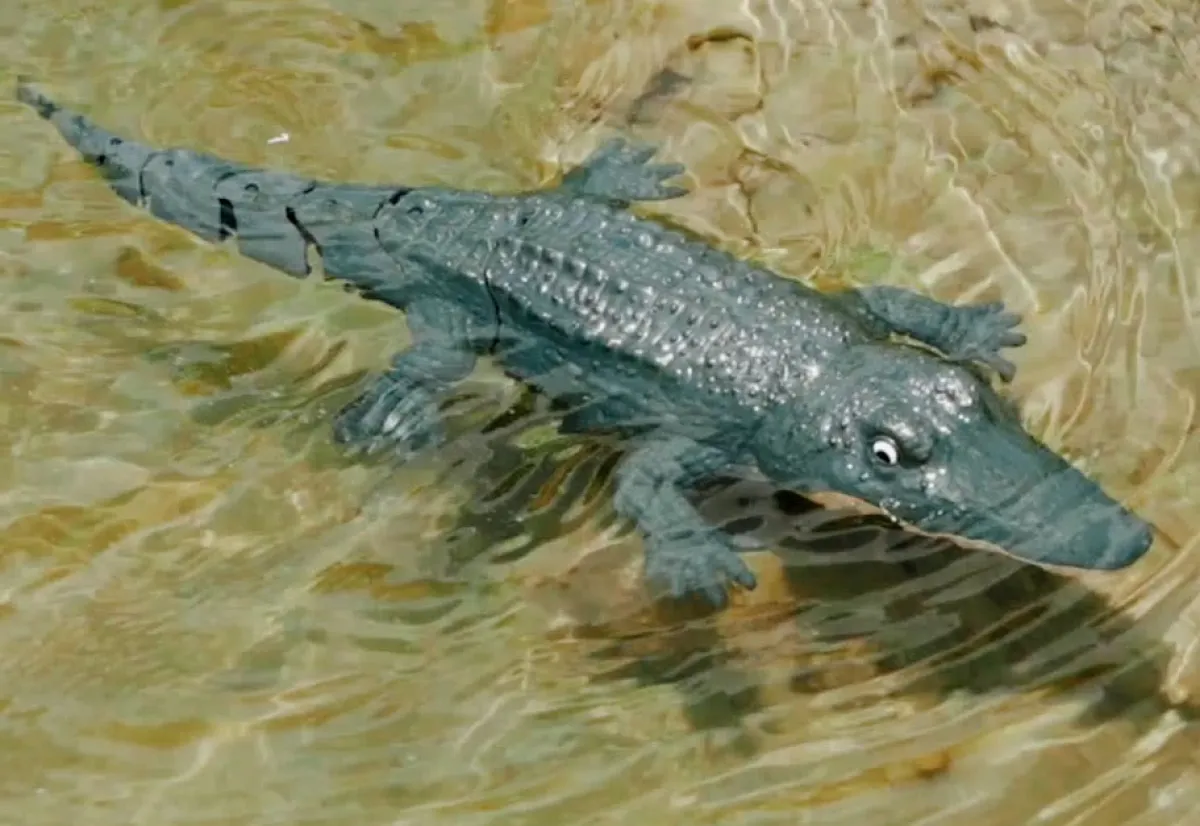 Jupiter Creations Inc RC Robot Crocodile