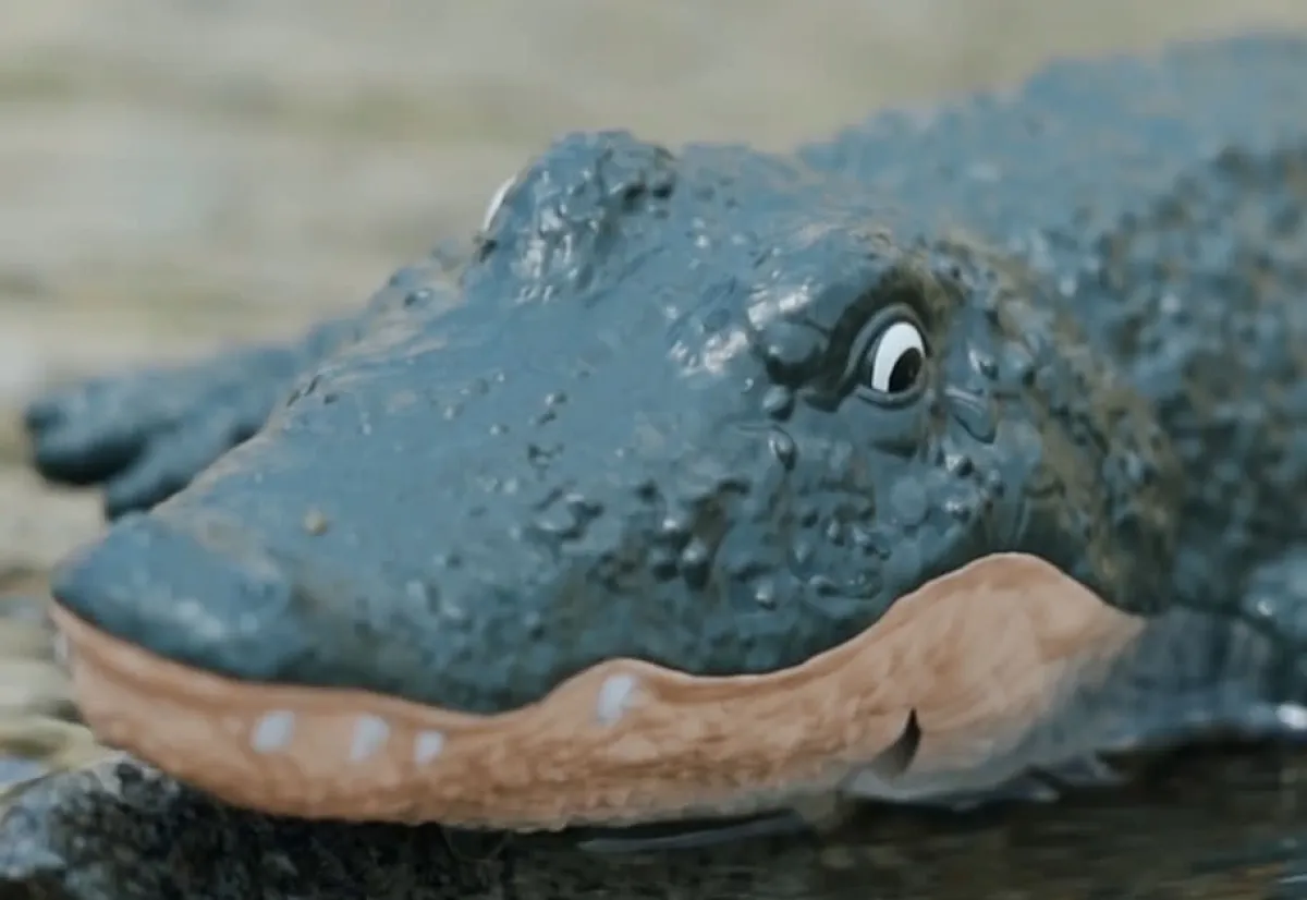 Jupiter Creations Inc RC Robot Crocodile