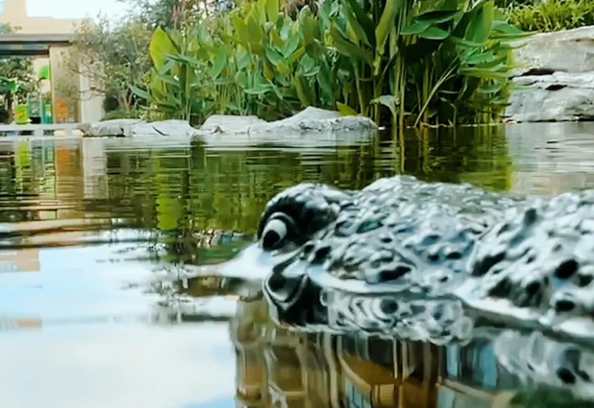 Jupiter Creations Inc RC Robot Crocodile