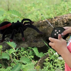 Better Battery Co. Inc. RC Tarantula