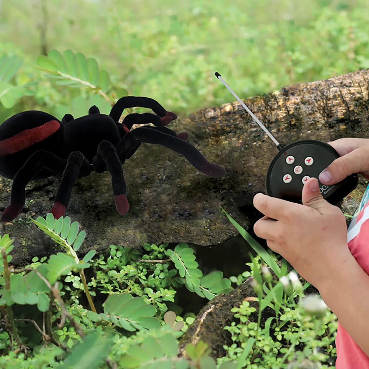 Better Battery Co. Inc. RC Tarantula