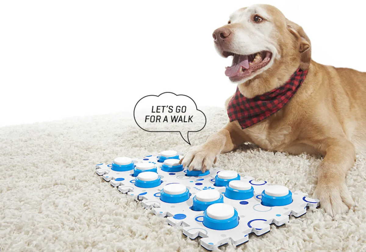 Ewbank LLC Recordable Pet Training Buttons