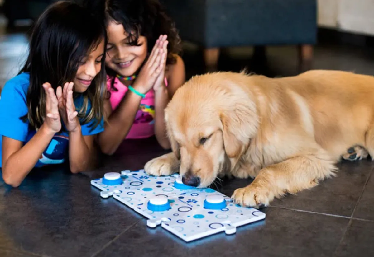 Ewbank LLC Recordable Pet Training Buttons