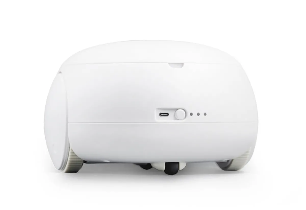 FKA DISTRIBUTING CO., LLC - DBA HOMEDICS USA LLC Robotic Pet Interaction Toy