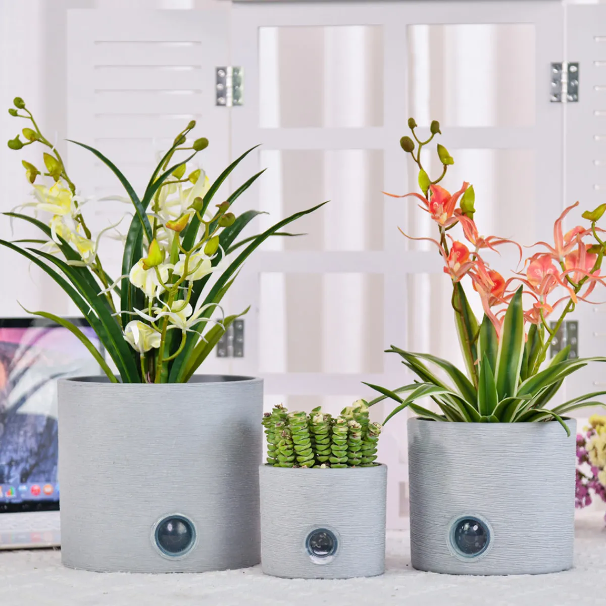 Bloomscape Self-Watering Cylinder Pot System for Indoor Plants (Set of 3)