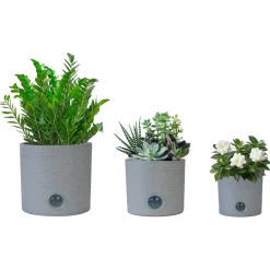 Bloomscape Self-Watering Cylinder Pot System for Indoor Plants (Set of 3)