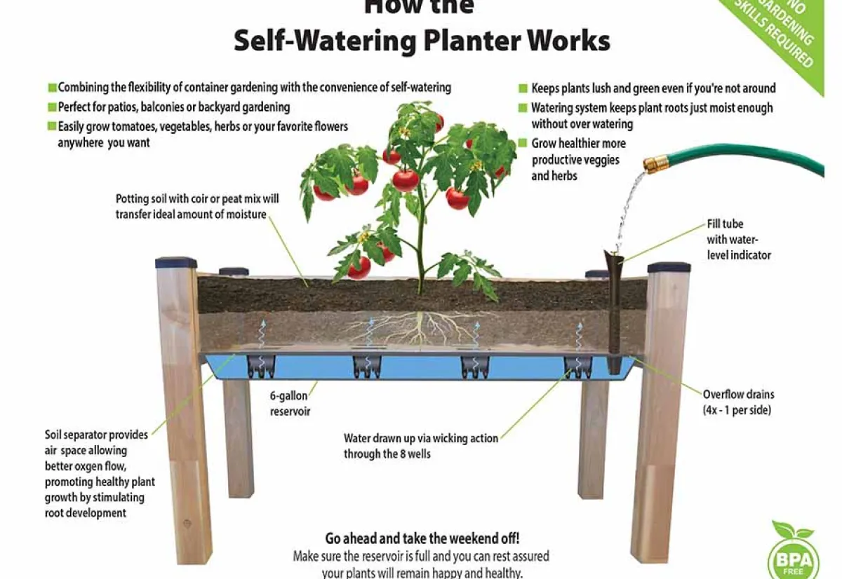Dobi u0026 Associates, Inc. Self-Watering Planter