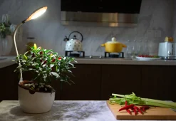 Modern Sprout, LLC. Self-Watering Planter with LED Grow Light