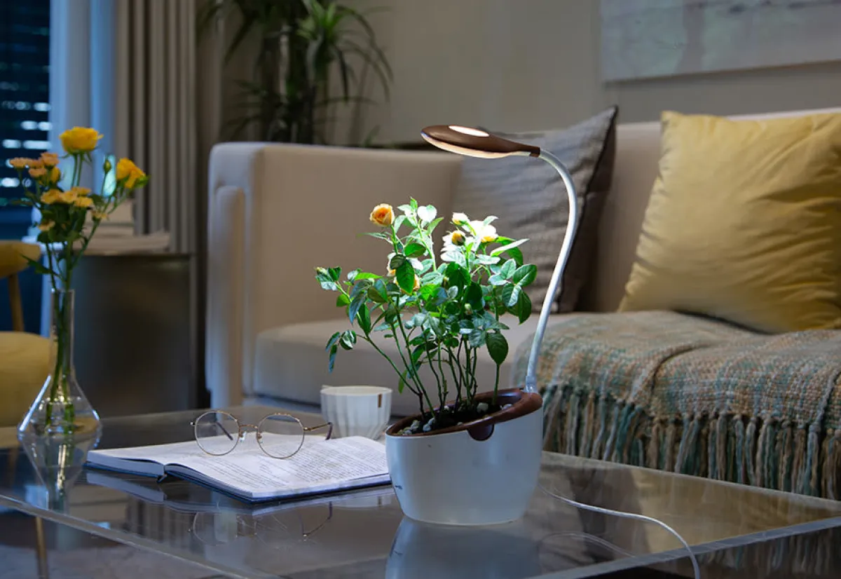 Modern Sprout, LLC. Self-Watering Planter with LED Grow Light