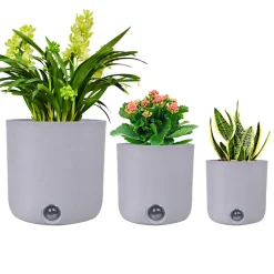 EP DESIGN LAB Self-Watering Tall Cylinder Pot System for Indoor Plants (Set of 3)