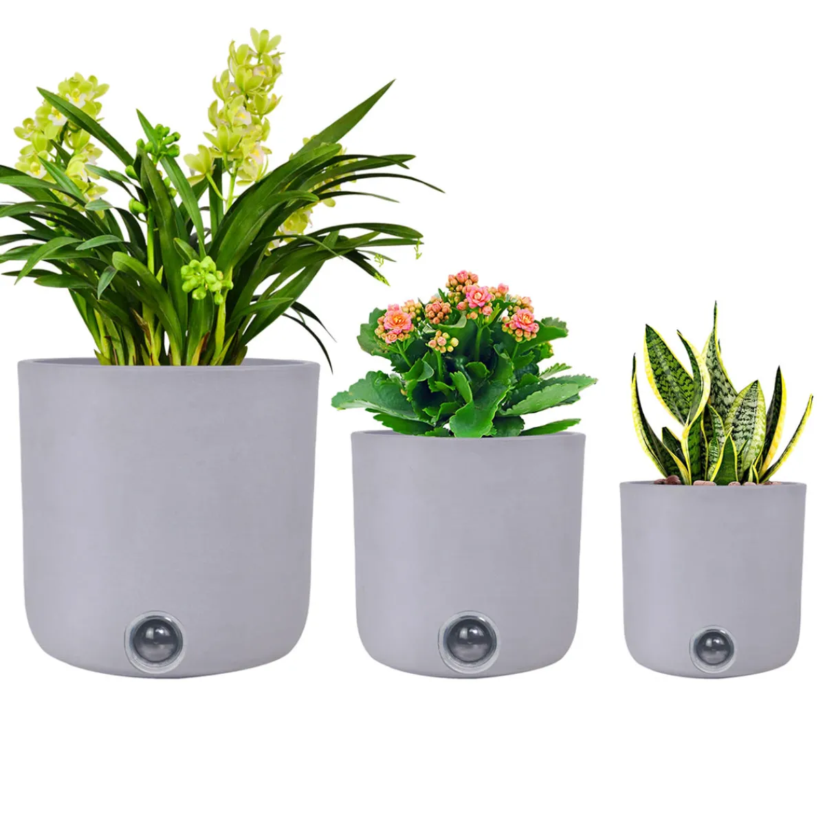EP DESIGN LAB Self-Watering Tall Cylinder Pot System for Indoor Plants (Set of 3)