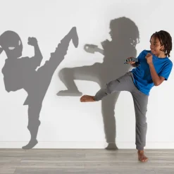 Better Battery Co. Inc. Shadow Fighter