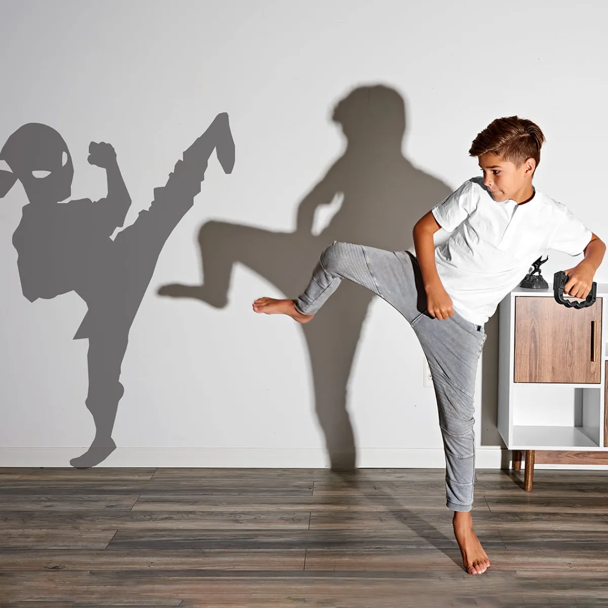 Better Battery Co. Inc. Shadow Fighter