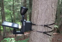Maxsa Innovations Solar LED Flagpole Light