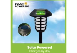 Maxsa Innovations Solar Pathway Lights (Set of 4)
