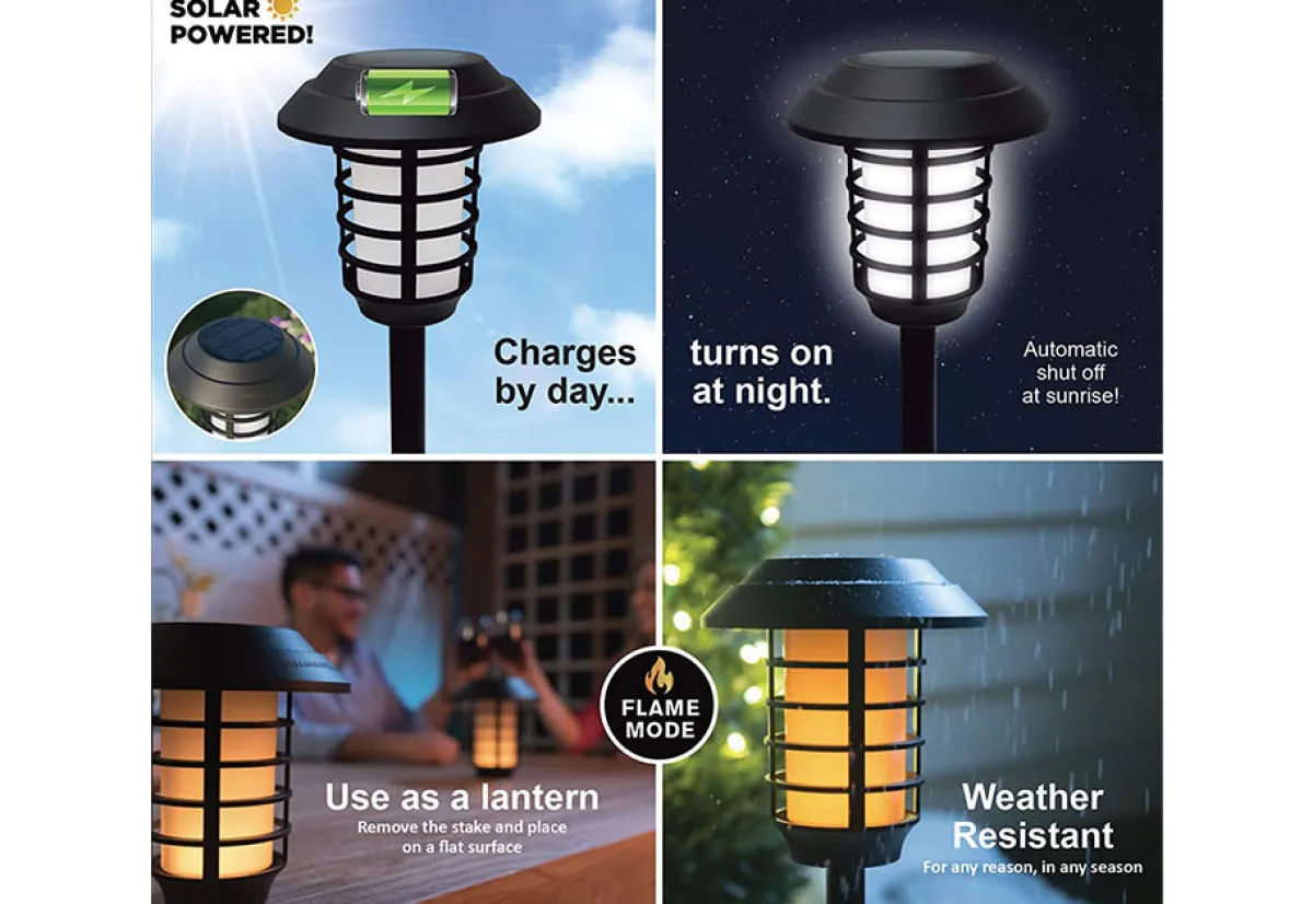 Maxsa Innovations Solar Pathway Lights (Set of 4)